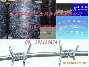 金属丝绳打造的刀片刺网 美观与防护的完美结合